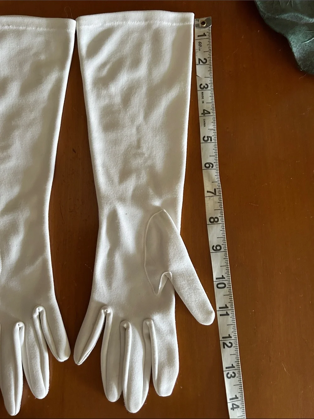 Vintage Embroidered Long Gloves